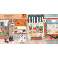 book-franklins-flying-bookshop- (4)