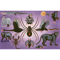 book-kaleidoscope-of-creatures- (2)