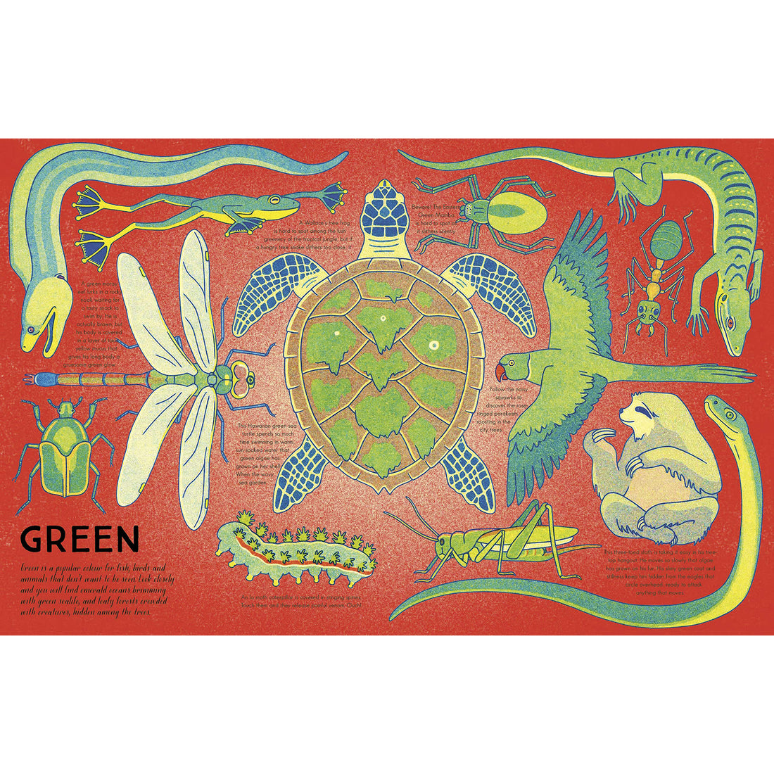 book-kaleidoscope-of-creatures- (3)