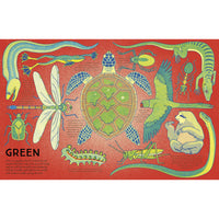 book-kaleidoscope-of-creatures- (3)