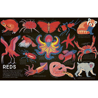 book-kaleidoscope-of-creatures- (4)