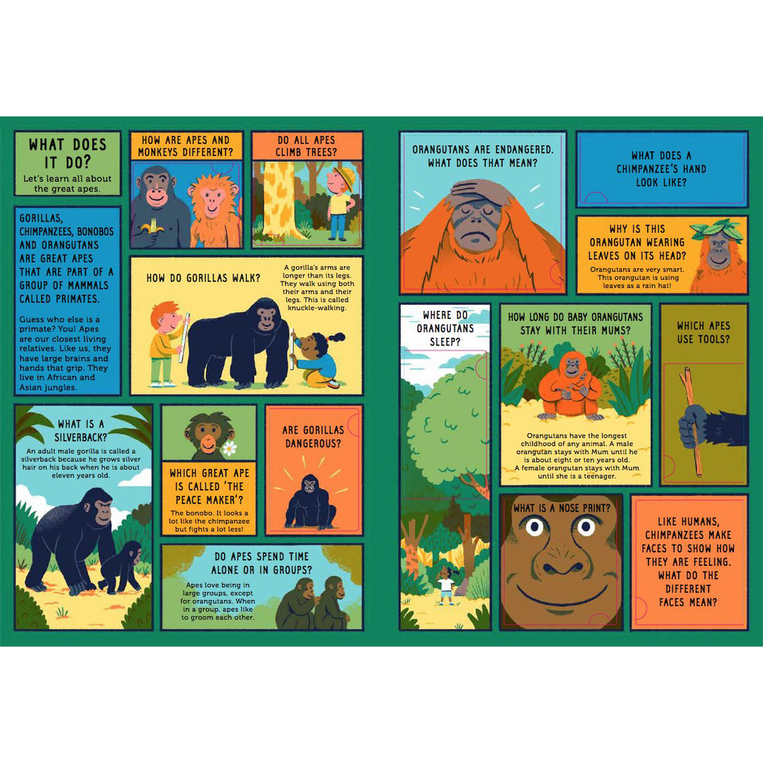 book-life-on-earth-jungle- (2)
