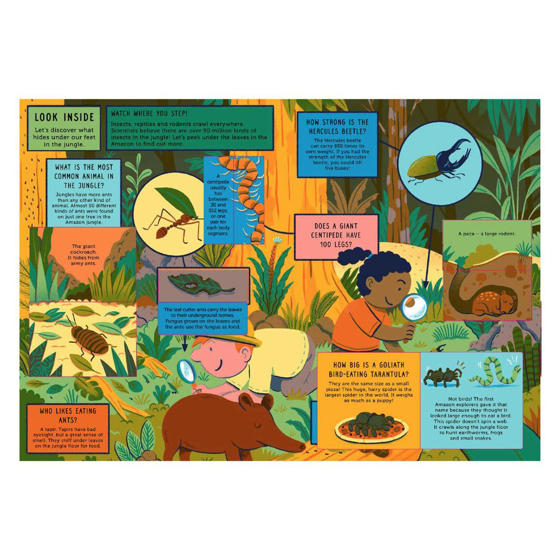 book-life-on-earth-jungle- (3)
