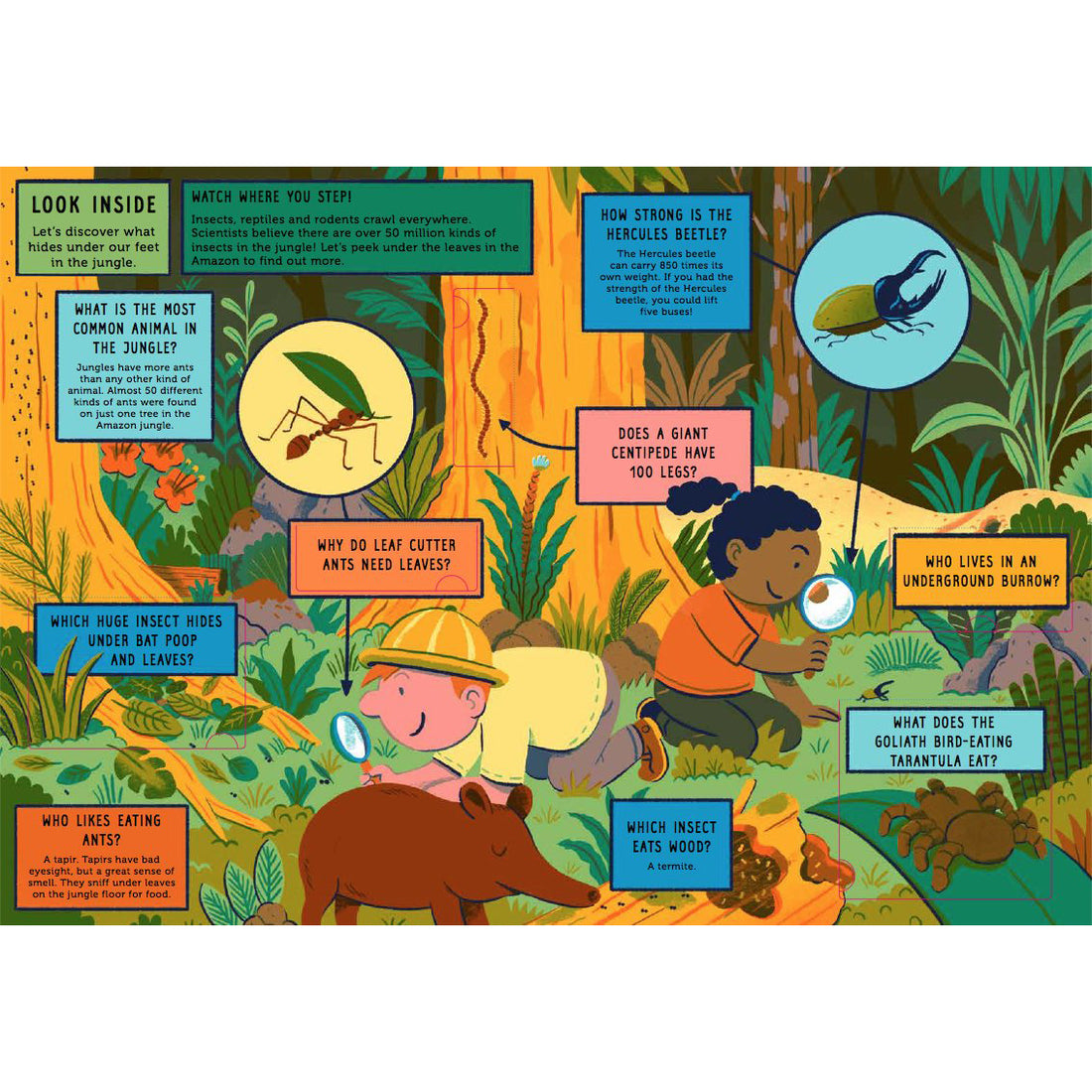 book-life-on-earth-jungle- (4)