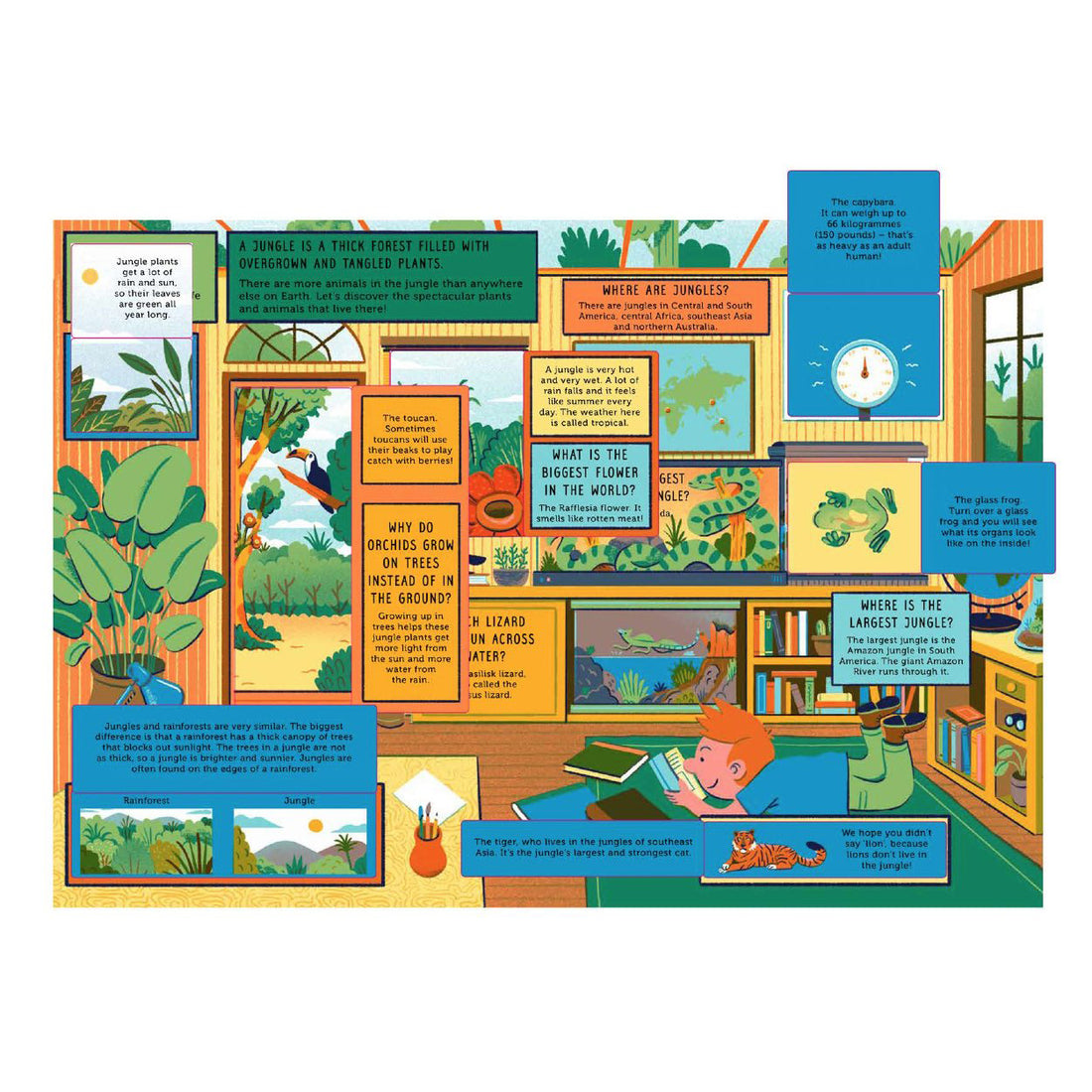 book-life-on-earth-jungle- (5)
