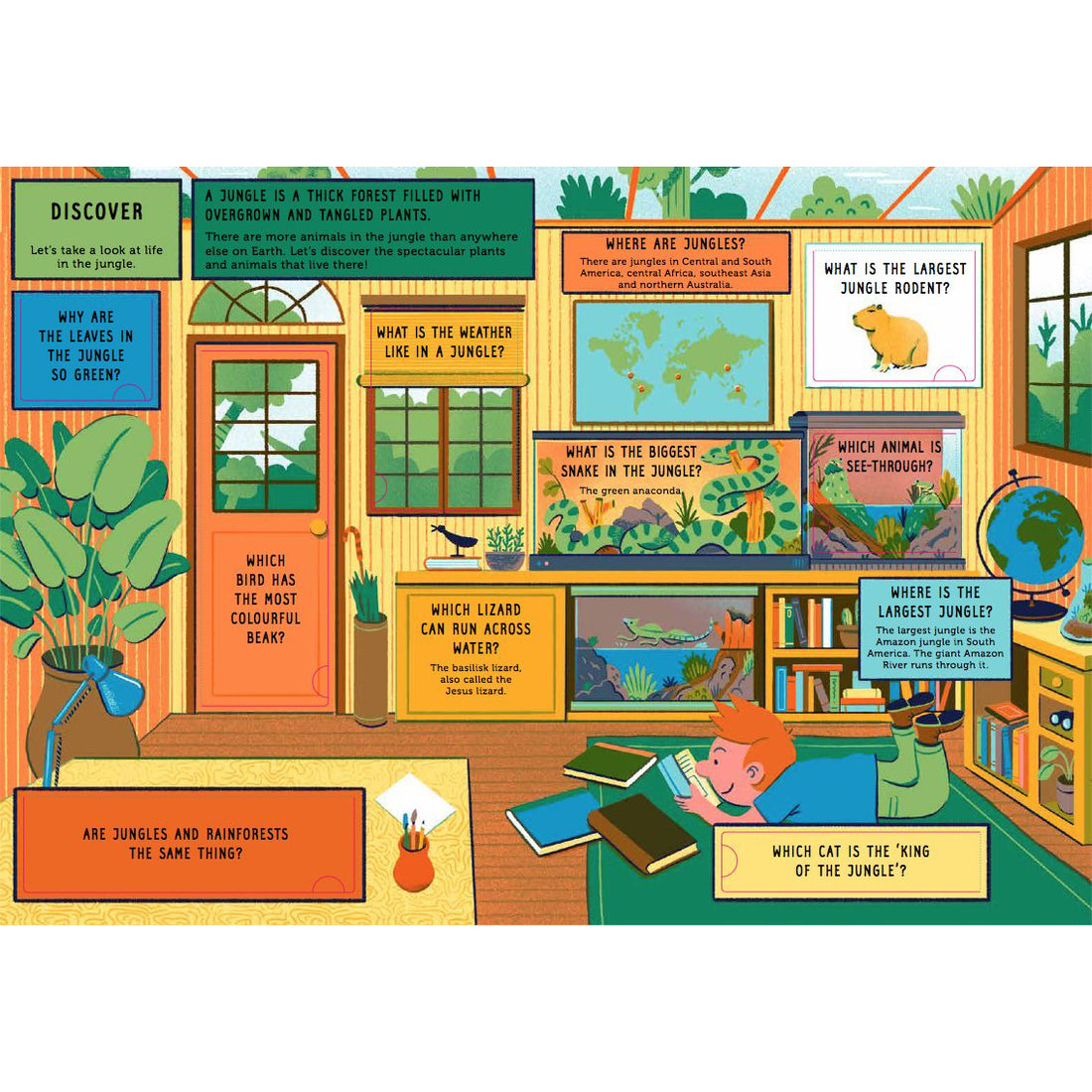 book-life-on-earth-jungle- (6)