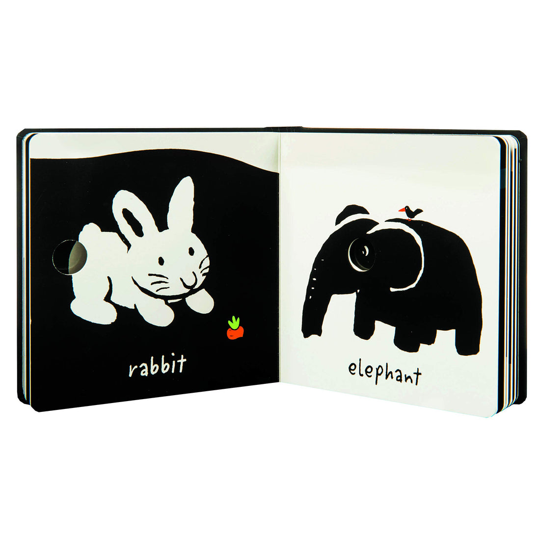 book-my-animals- (4)