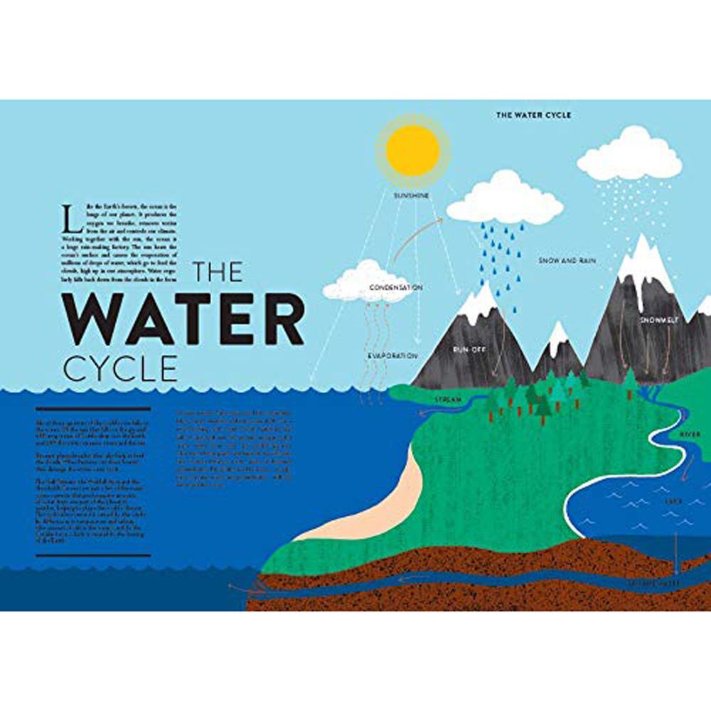 book-oceans-lift-the-flap-book- (7)