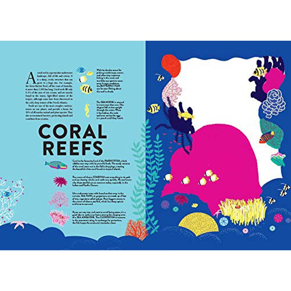 book-oceans-lift-the-flap-book- (6)