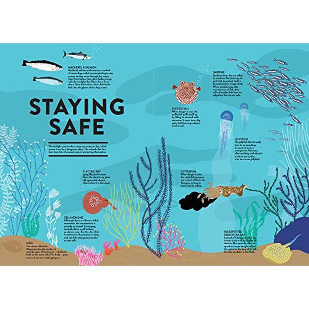 book-oceans-lift-the-flap-book- (5)