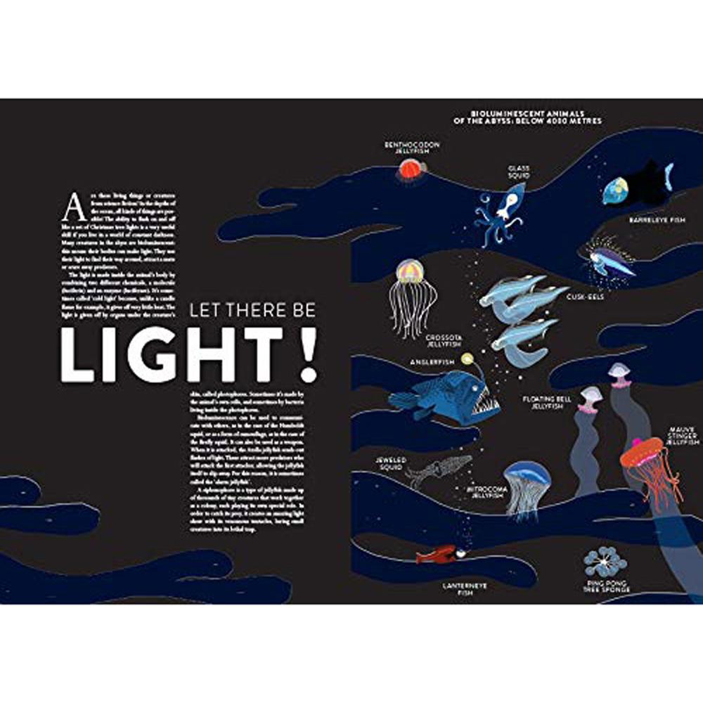 book-oceans-lift-the-flap-book- (4)