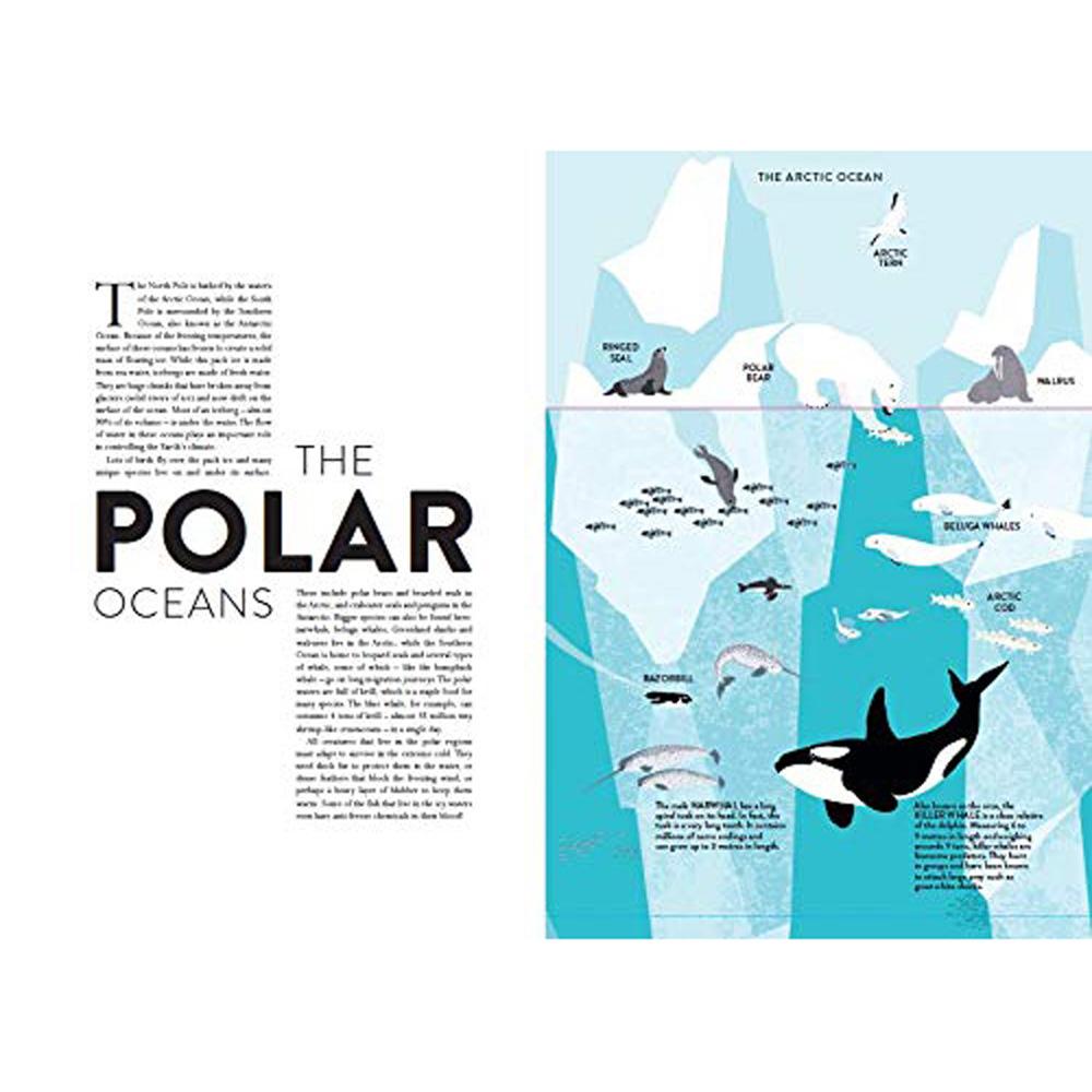 book-oceans-lift-the-flap-book- (3)