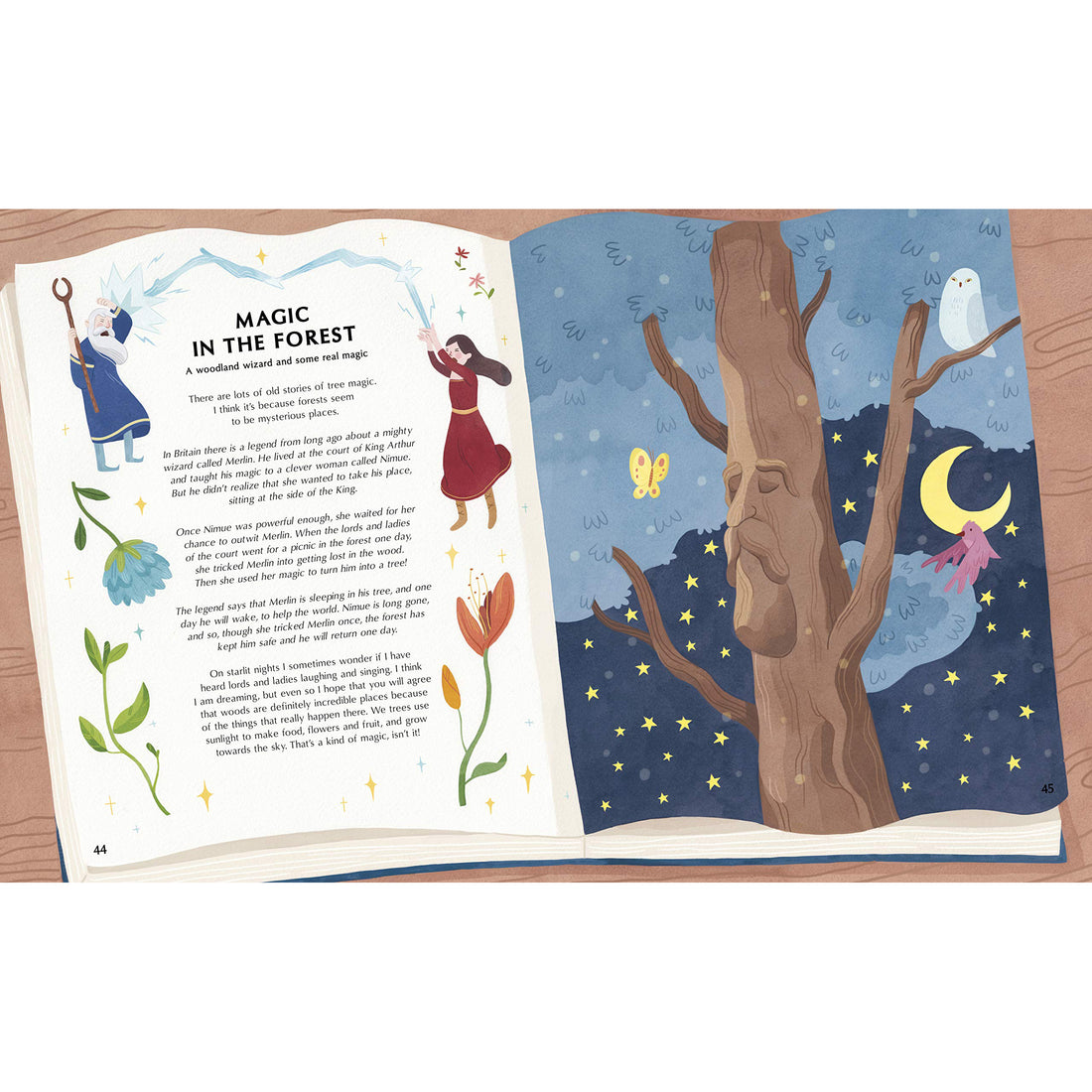 book-secret-life-of-trees- (4)