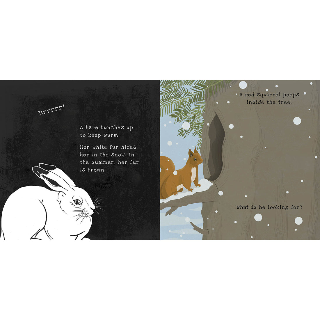 book-secrets-of-winter-shine-a-light-books- (2)