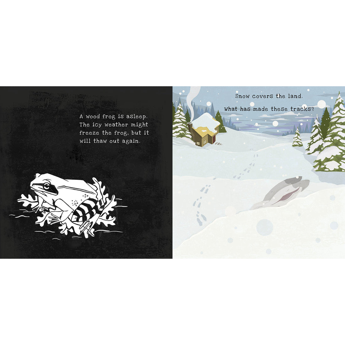 book-secrets-of-winter-shine-a-light-books- (3)
