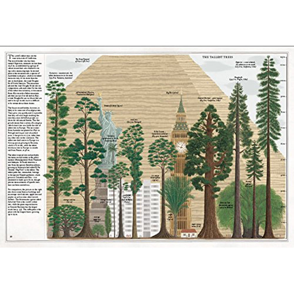 book-the-book-of-trees- (5)