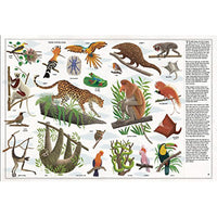 book-the-book-of-trees- (4)