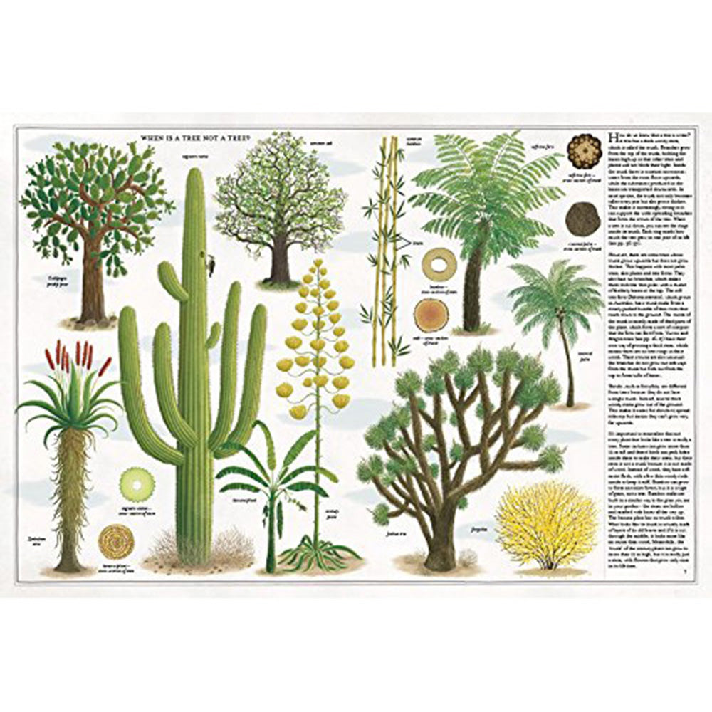 book-the-book-of-trees- (3)