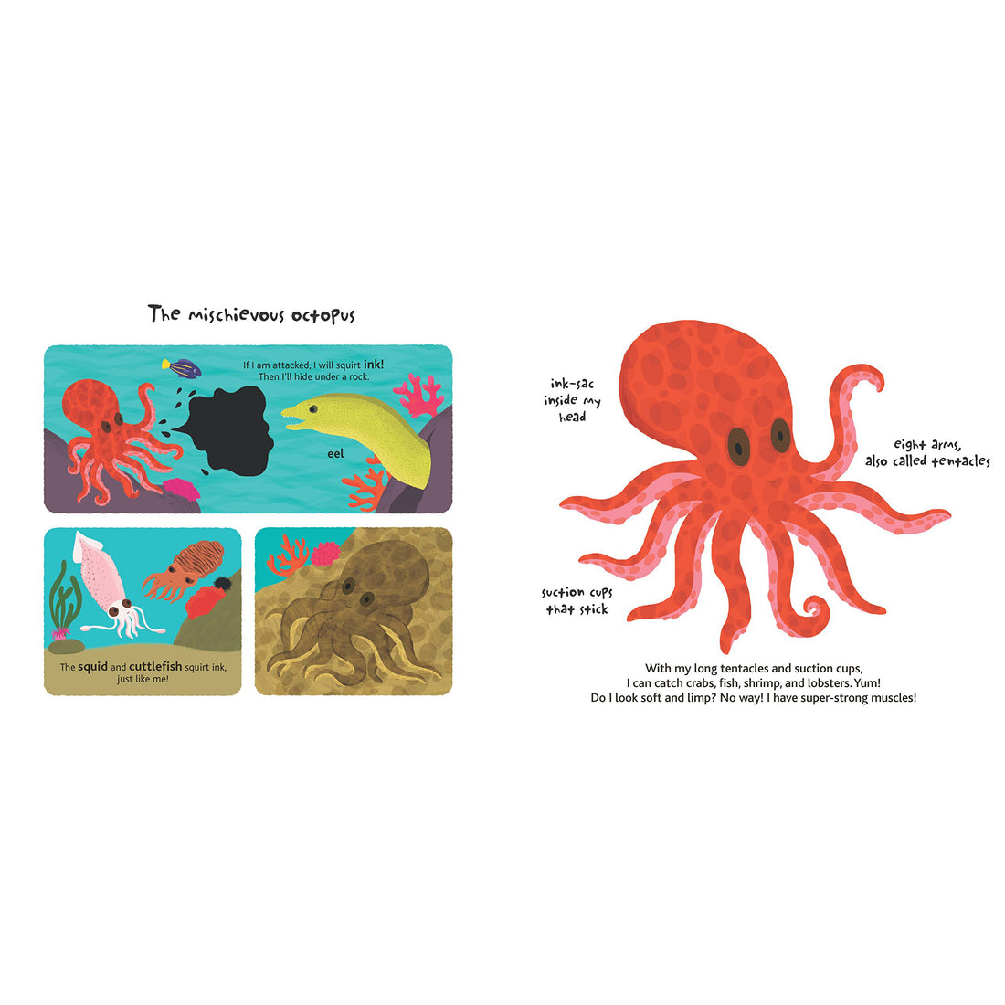 book-touch-&-explore-ocean- (10)