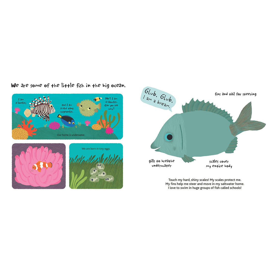 book-touch-&-explore-ocean- (11)