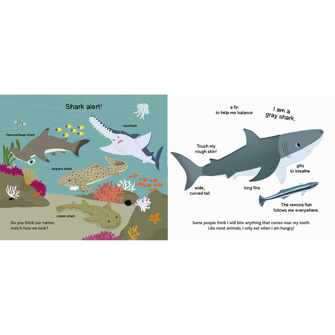 book-touch-&-explore-ocean- (3)
