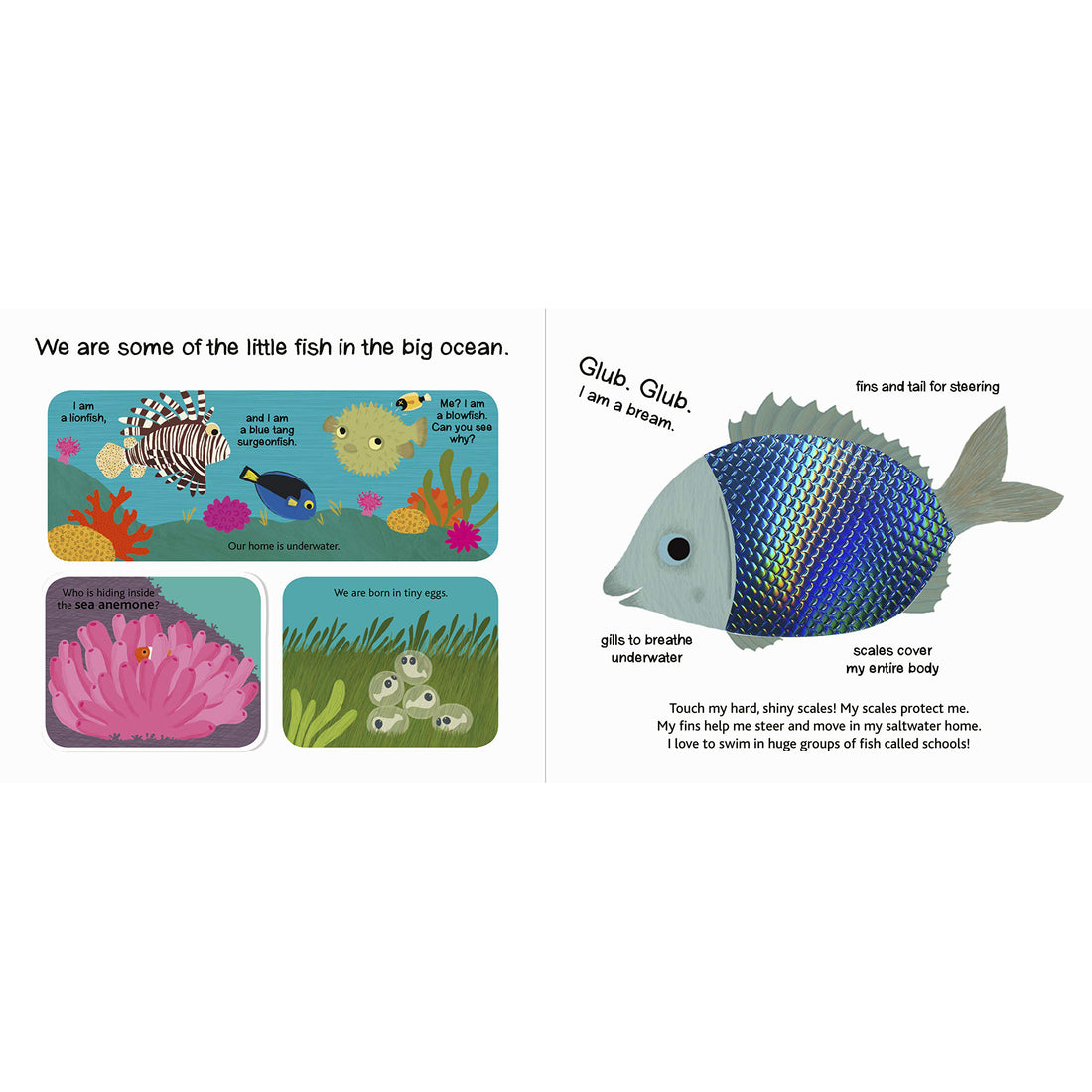 book-touch-&-explore-ocean- (4)