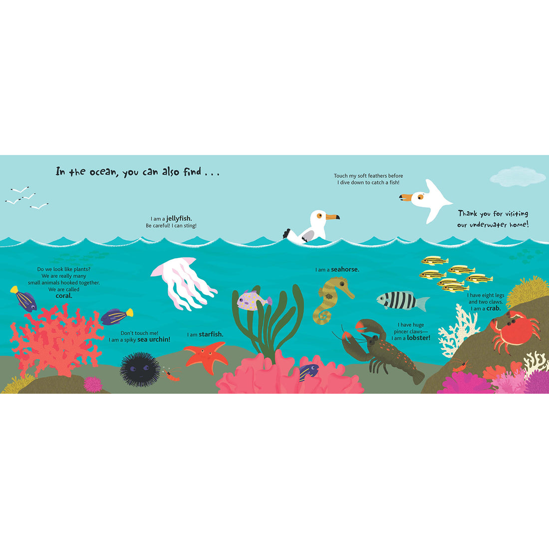 book-touch-&-explore-ocean- (5)
