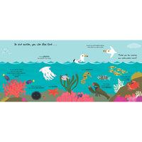 book-touch-&-explore-ocean- (5)
