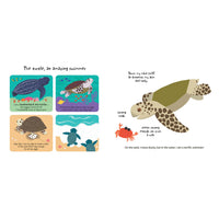 book-touch-&-explore-ocean- (6)