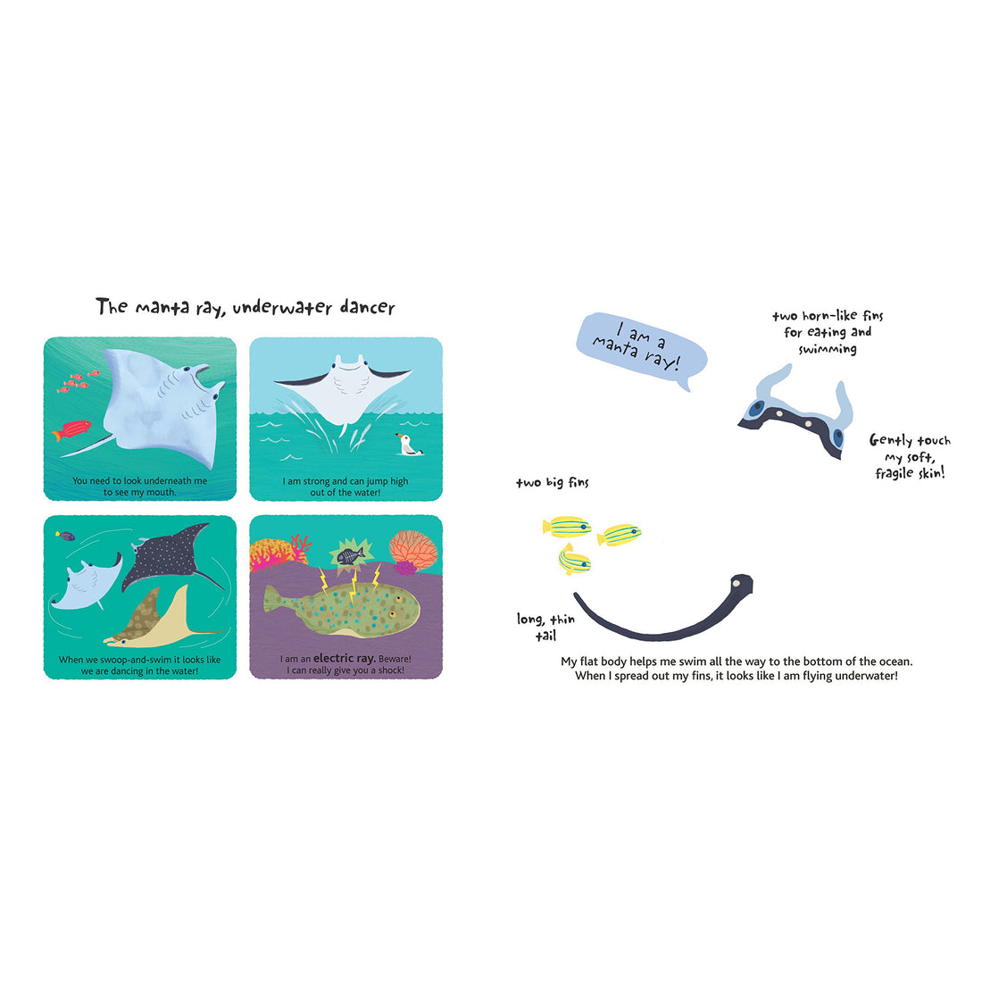 book-touch-&-explore-ocean- (7)