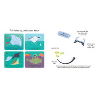 book-touch-&-explore-ocean- (7)