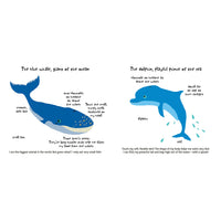 book-touch-&-explore-ocean- (8)