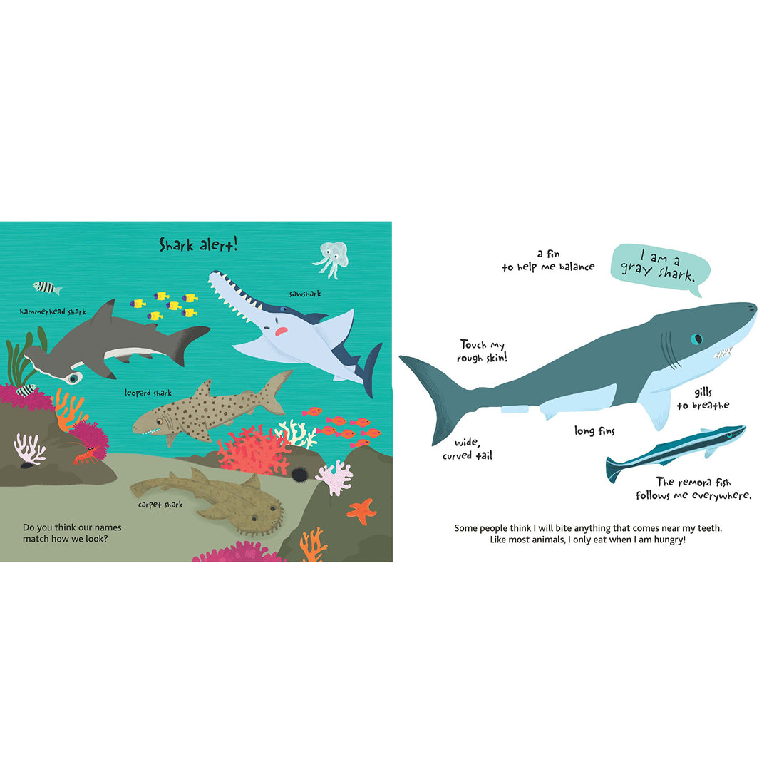 book-touch-&-explore-ocean- (9)