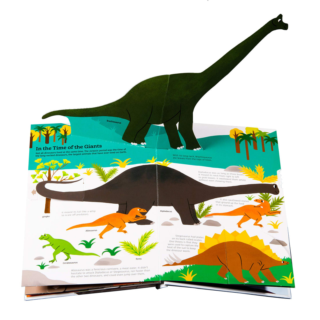 book-ultimate-spotlight-dinosaurs- (2)