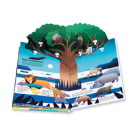 book-ultimate-spotlight-savanna-animals- (4)