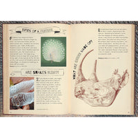 book-why-don't-fish-drown-and-other-vital-questions-about-the-animal-kingdom- (2)