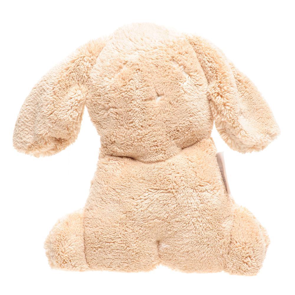 britt-snuggles-puppy-biscuit- (1)