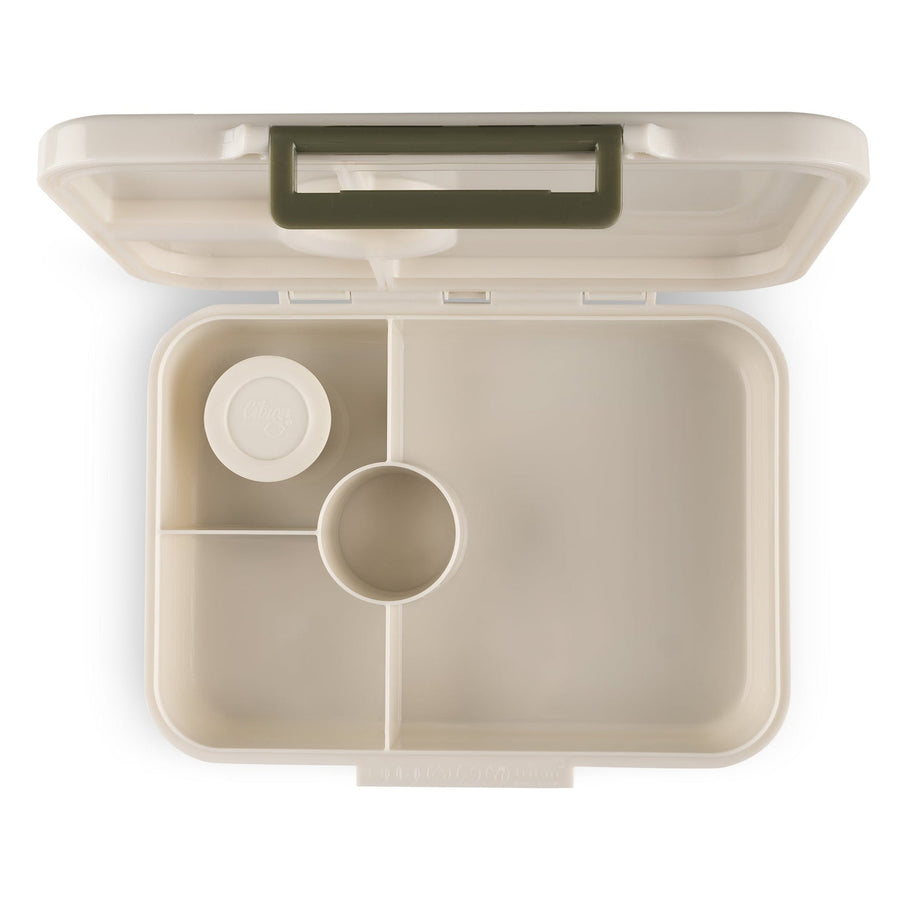 citron-incredible-tritan-lunchbox-with-saucer-dino-green-citr-96205- (5)