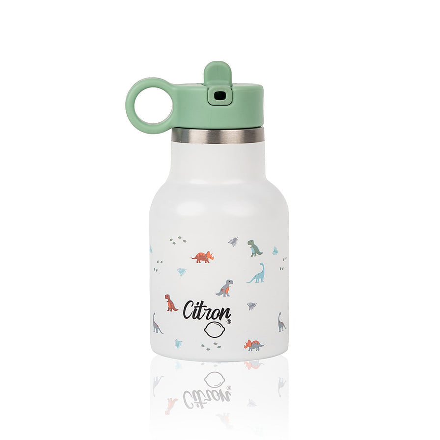 citron-triple-wall-insulated-water-bottle-250ml-dino-citr-73292- (1)