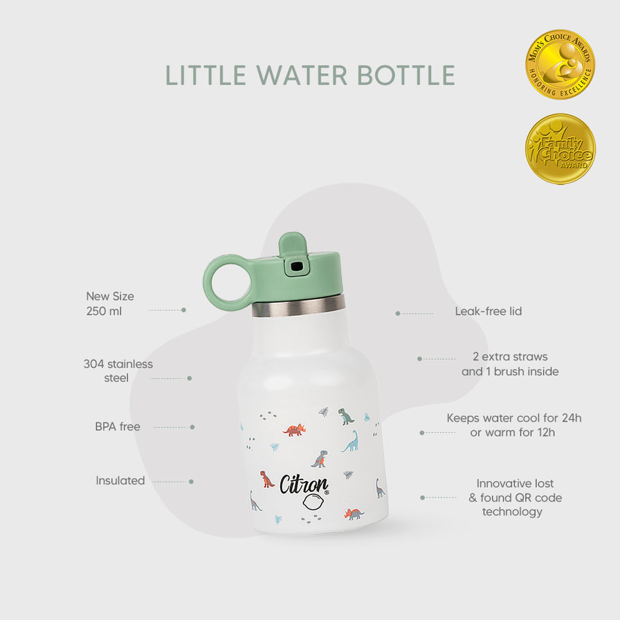 citron-triple-wall-insulated-water-bottle-250ml-dino-citr-73292- (6)