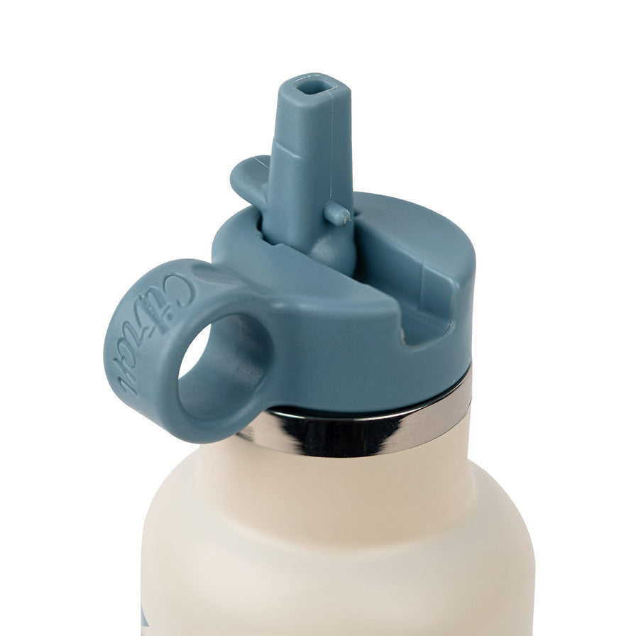 citron-triple-wall-insulated-water-bottle-350ml-spaceship-citr-73377- (3)