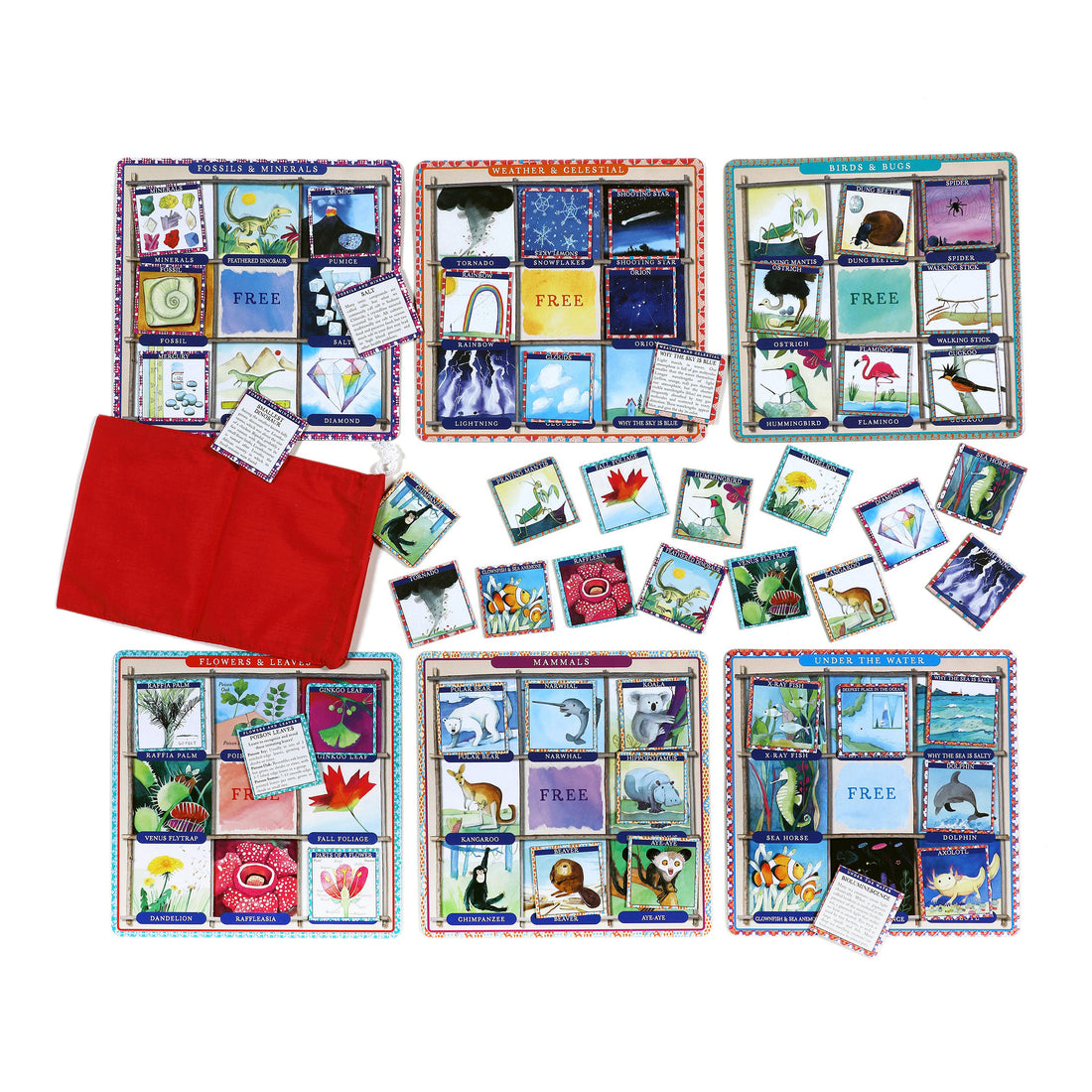 eeboo-natural-science-bingo-eebo-bowha2- (2)