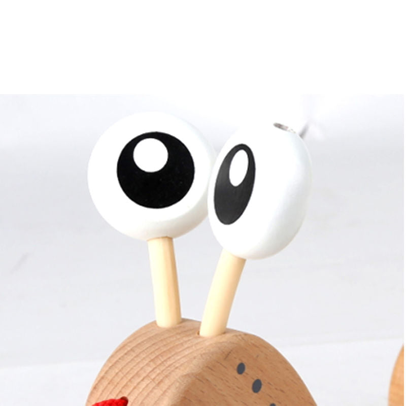hape-walk-a-long-snail- (4)