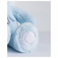 histoire-dours-bear-charms-blue-sky- (6)