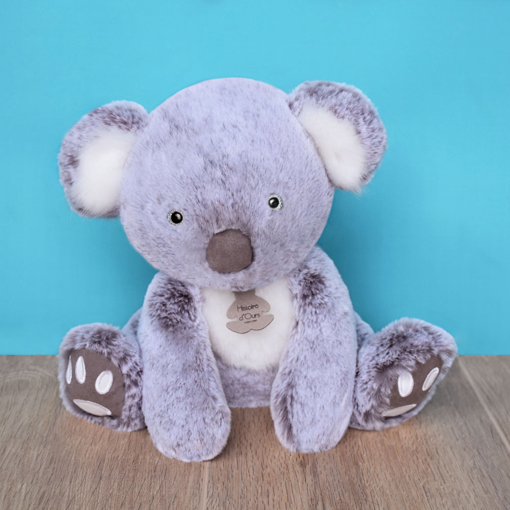 histoire-dours-koala-25cm-hdo-ho2969- (5)
