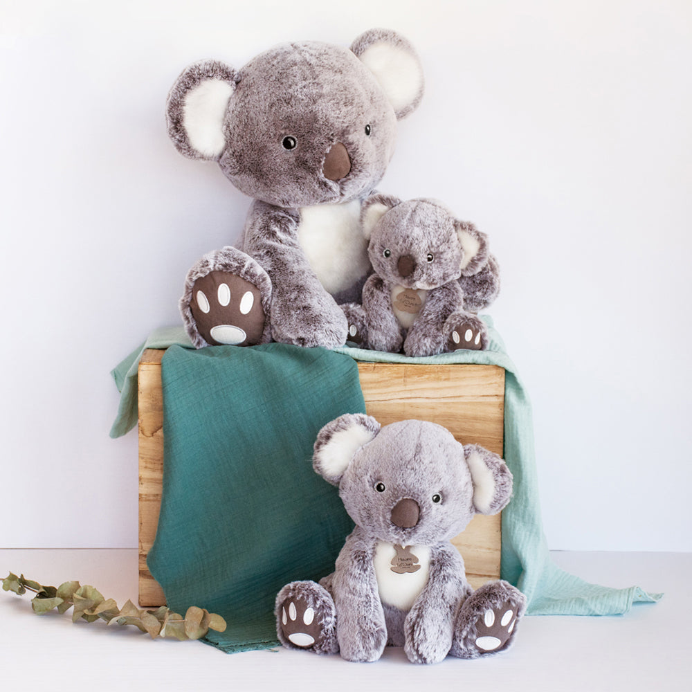 histoire-dours-koala-25cm-hdo-ho2969- (3)