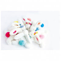 histoire-dours-lapin-tutti-frutti-paquerette- (3)