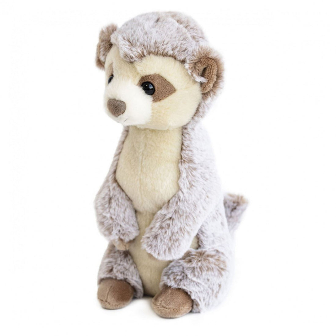histoire-dours-les-animaux-des-grands-espaces-meerkat-1