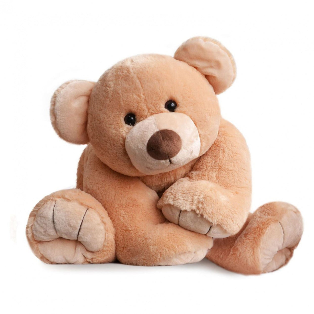 histoire-dours-les-ours-titours-et-bellydou-honey-gros-ours- (2)