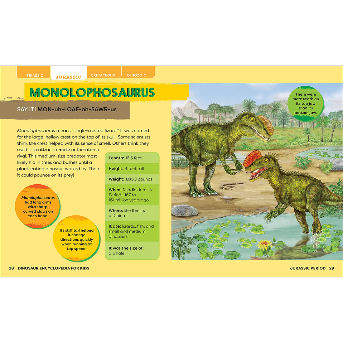 house-of-marbles-dinosaurs-encyclopedia-prehi-hom-403822- (11)